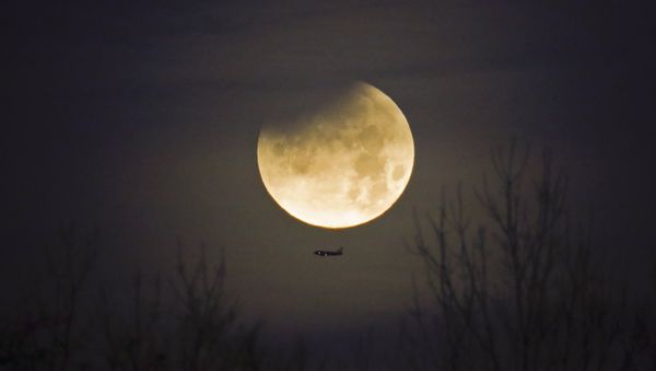 A plane passes by as the moon sets over trees during a phenomena that combined a supermoon, a blue moon and a lunar eclipse in Charlotte, N.C., Wednesday, Jan. 31, 2018 - Sputnik International