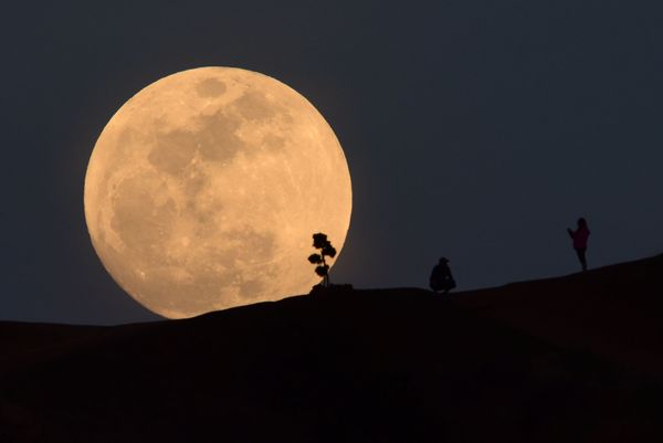 Super Blue Blood Moon Lunar Eclipse Seen Over the World - Sputnik International