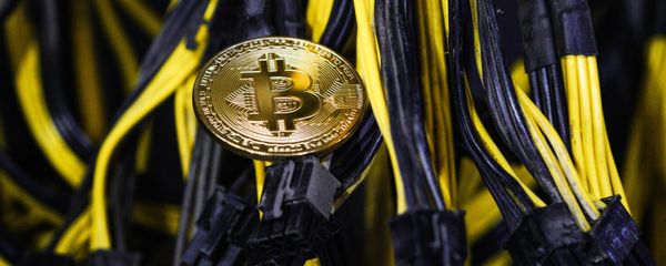 Mining-farm in the territory of a technopolis Moscow Mining-farm in the territory of a technopolis Moscow - Sputnik International