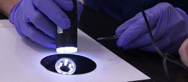 Physics from TPU improves nanocomponents for flexible electronic devices - Sputnik International