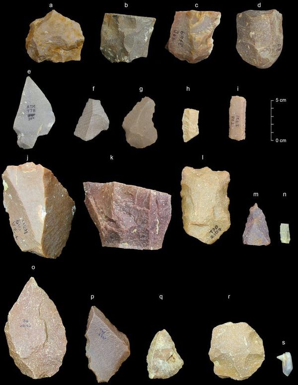 Sharma Heritage Sharma Heritage - Sputnik International
