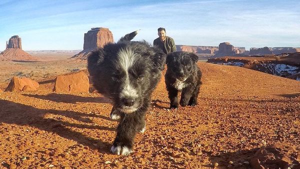 Sedona and Zeus in the desert - Sputnik International