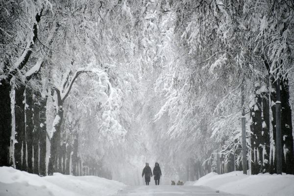 'Blizzard of Century': Snow Apocalypse in Moscow - Sputnik International