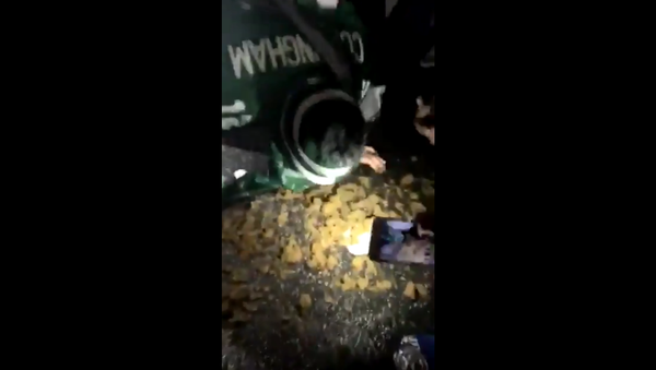 Philadelphia Eagles fan eats horse poop after Super Bowl win Philadelphia Eagles fan eats horse poop after Super Bowl win - Sputnik International
