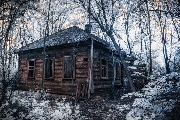 Greetings, Stalker: Chernobyl Exclusion Zone Portrayed in a New Light - Sputnik International