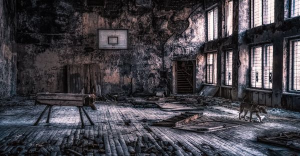 Greetings, Stalker: Chernobyl Exclusion Zone Portrayed in a New Light - Sputnik International