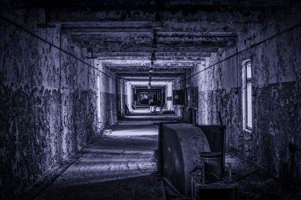 Greetings, Stalker: Chernobyl Exclusion Zone Portrayed in a New Light - Sputnik International