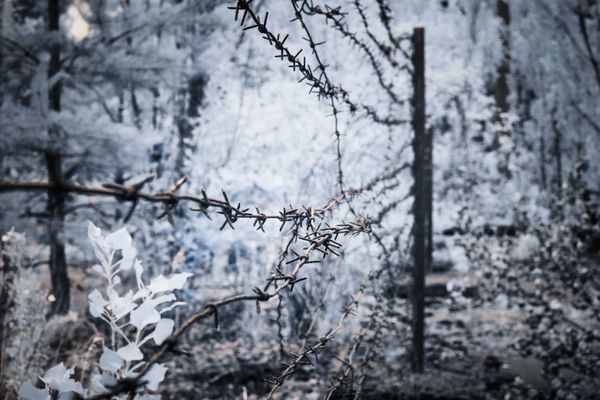 Greetings, Stalker: Chernobyl Exclusion Zone Portrayed in a New Light - Sputnik International