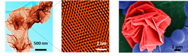 (a) Nanosheets dispersed in water (appear like crumpled sheets of paper); (b) The boron atoms in these nanosheets are arranged in the form of a honeycomb; (c) Image of nanosheets recovered from water (appears like a flower) as the nonosheets tend to come together. (a) Nanosheets dispersed in water (appear like crumpled sheets of paper); (b) The boron atoms in these nanosheets are arranged in the form of a honeycomb; (c) Image of nanosheets recovered from water (appears like a flower) as the nonosheets tend to come together. - Sputnik International