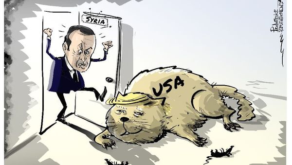 Erdogan vs US - Sputnik International