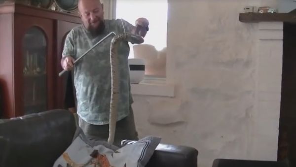 Snake Catcher - Sputnik International