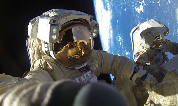 This Week in Pictures (February 2-9) - Sputnik International