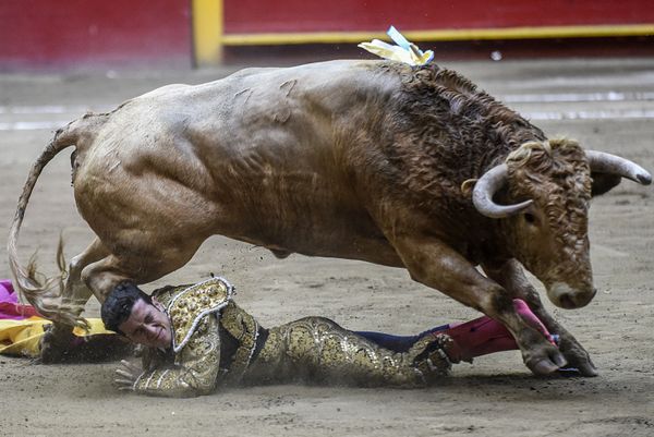 This Week in Pictures (February 2-9) - Sputnik International