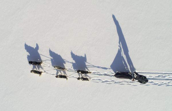 This Week in Pictures (February 2-9) - Sputnik International
