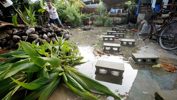 David Losia, 21, cuts coconuts for the family pigs in the front of his family house flooded by the rising tides where cinder blocks are used as a makeshift walkway in Funafuti, Tuvalu (File) - Sputnik International