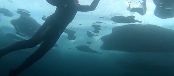 Extreme Swimmer Dived to a Depth of 26 Meters Under the Ice of Lake Baikal - Sputnik International