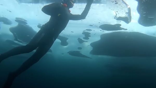 Extreme Swimmer Dived to a Depth of 26 Meters Under the Ice of Lake Baikal - Sputnik International