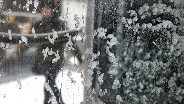 Winter storm makes its way through several Midwest states Friday, Feb. 9, 2018, in Chicago - Sputnik International