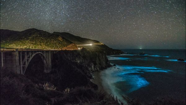 Bioluminescent phytoplankton is seen along the coastal waters at Big Sur, California, U.S., February 5, 2018. - Sputnik International