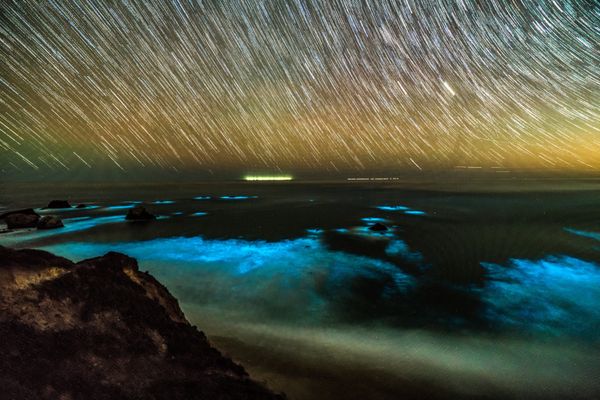 Bioluminescent phytoplankton is seen along the coastal waters at Big Sur, California, U.S., February 6, 2018. - Sputnik International