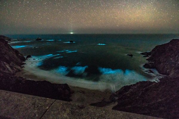 Bioluminescent phytoplankton is seen along the coastal waters at Big Sur, California, U.S., February 5, 2018. - Sputnik International
