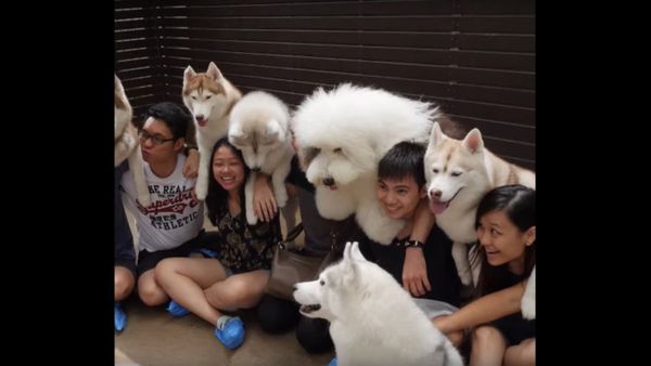 True Love Cafe In Bangkok - Sputnik International