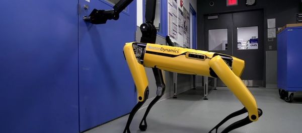 Hey Buddy, Can You Give Me a Hand? Hey Buddy, Can You Give Me a Hand? - Sputnik International