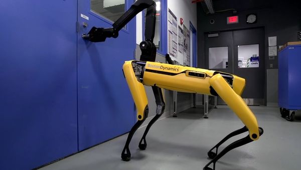 Hey Buddy, Can You Give Me a Hand? - Sputnik International