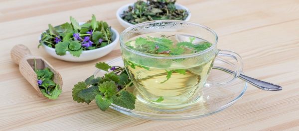 Herb tea Herb tea - Sputnik International