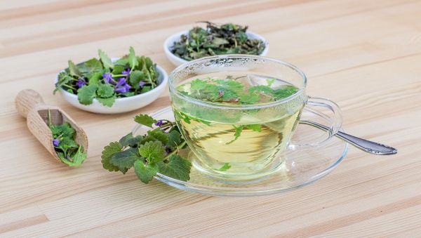 Herb tea - Sputnik International