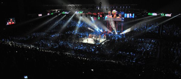 Mixed Martial Arts. Mixed Martial Arts. - Sputnik International