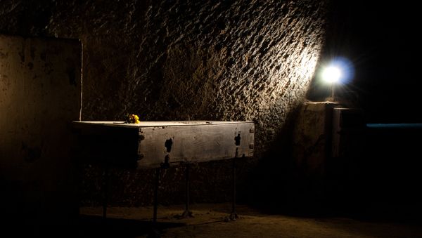  Light on Coffin - Sputnik International