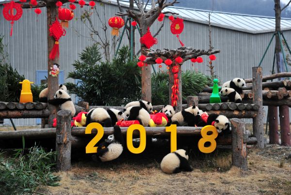 Lunar New Year Celebrations Across the Globe Lunar New Year Celebrations Across the Globe - Sputnik International