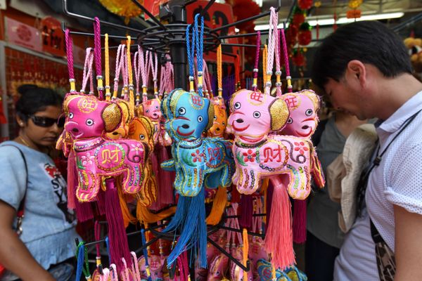 Lunar New Year Celebrations Across the Globe Lunar New Year Celebrations Across the Globe - Sputnik International