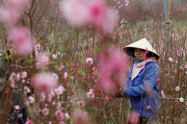 Lunar New Year Celebrations Across the Globe Lunar New Year Celebrations Across the Globe - Sputnik International