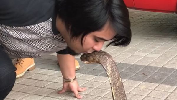 Snake Charmer - Sputnik International