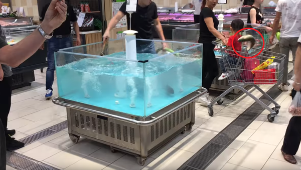 Catch of the Day? Fish Springs Into Shopping Cart - Sputnik International