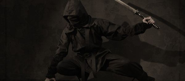 Ninja Ninja - Sputnik International