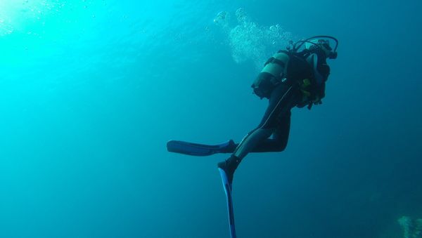 Diver - Sputnik International
