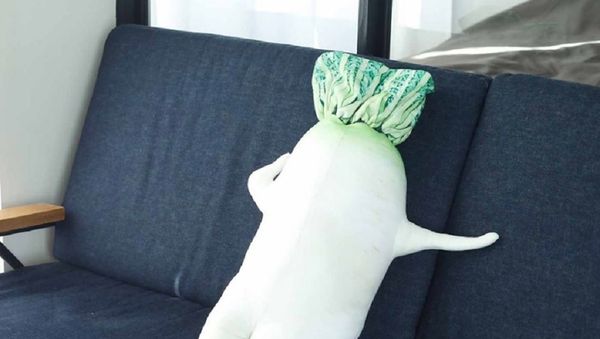 Sexy Daikon Body Pillow - Sputnik International