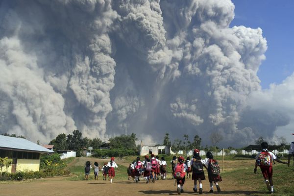 This Week in Pictures (February 17-23) - Sputnik International