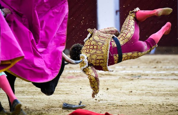 This Week in Pictures (February 17-23) - Sputnik International