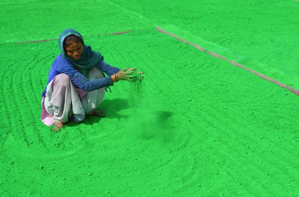 This Week in Pictures (February 17-23) - Sputnik International