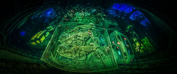 The Best from Underwater Photographer of the Year 2018 - Sputnik International