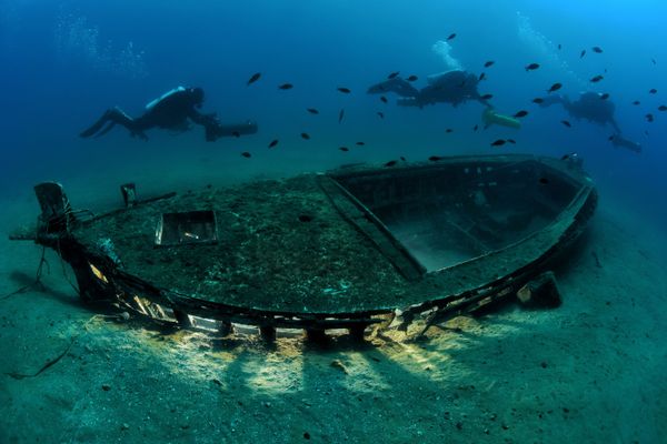The Best from Underwater Photographer of the Year 2018 - Sputnik International