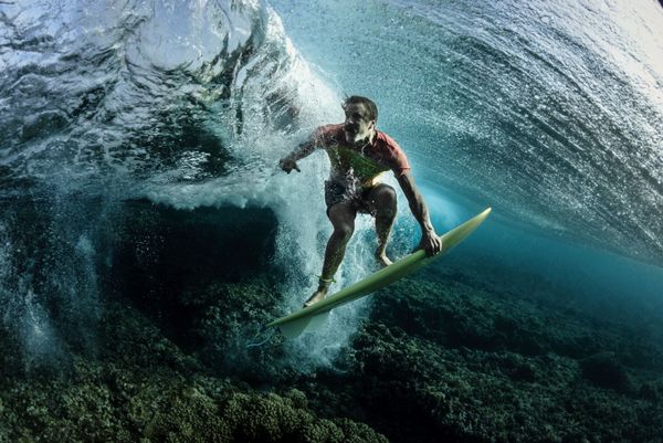 The Best from Underwater Photographer of the Year 2018 - Sputnik International