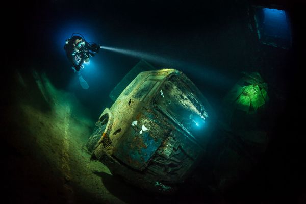 The Best from Underwater Photographer of the Year 2018 - Sputnik International