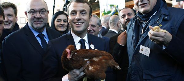 French President Emmanuel Macron holds a rooster as Agriculture Minister Stephane Travert (L) stands beside him, as they visit the 55th International Agriculture Fair in Paris, France, February 24, 2018 French President Emmanuel Macron holds a rooster as Agriculture Minister Stephane Travert (L) stands beside him, as they visit the 55th International Agriculture Fair in Paris, France, February 24, 2018 - Sputnik International