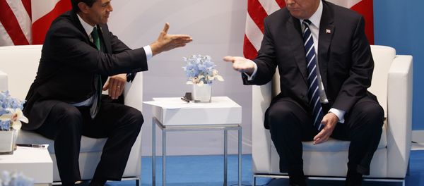 President Donald Trump meets with Mexican President Enrique Pena Nieto at the G20 Summit, Friday, July 7, 2017, in Hamburg. President Donald Trump meets with Mexican President Enrique Pena Nieto at the G20 Summit, Friday, July 7, 2017, in Hamburg. - Sputnik International