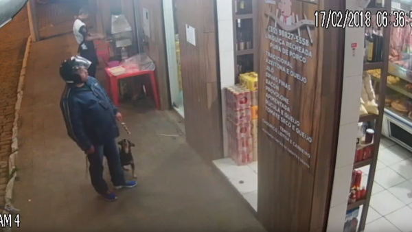 ‘Free Is for Me!’: Greedy Pooch Nabs Dinner - Sputnik International